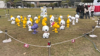 史努比進駐公園吸睛！　民眾搶拍美照批「落差大」