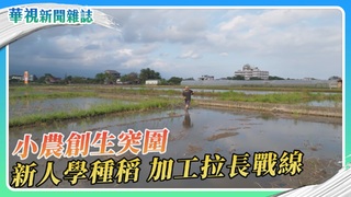 小農創生突圍 新人學種稻、加工拉長戰線｜華視新聞雜誌