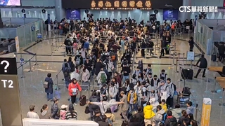 寒假首日桃機湧出國人潮　報到系統一度當機