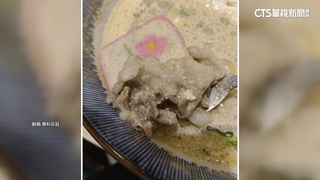 烏龍湯麵「黑點」不是胡椒　民眾驚見果蠅、小強