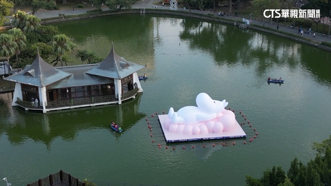 湖心亭「漂浮姆明」遭批看嘸全貌　藍議員：話題帶動人潮