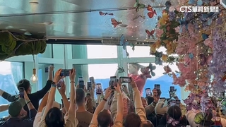 Alex攀登台北101引關注　粉絲湧89樓觀景台獻祝福