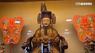 貓頭鷹飛停「女神頭上」歪頭賣萌　網笑：被媽祖收編