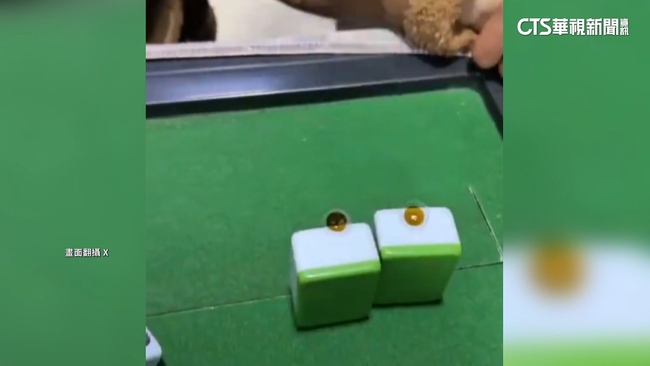 賭神真實版！　女老千戴「特殊隱眼」遭逮哭喊：我輸錢 | 華視新聞