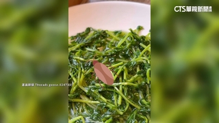 京星港式飲茶「吃到小強」　業者：調監視器了解原因