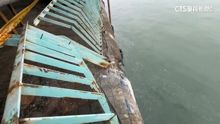 驚！　飯吃到一半...客船撞進華僑市場　1女跌倒受傷