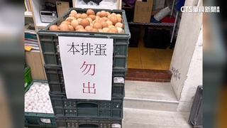台中豐康牧場爆禽流感　北市下游農匠市集追售出蛋