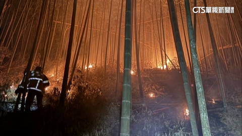 撲滅8天又復燃！草嶺森林晚間大火　恐威脅「九芎神木」