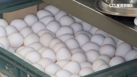 禽流感蛋售出7125台斤　苗占過半.台中7餐飲店下架