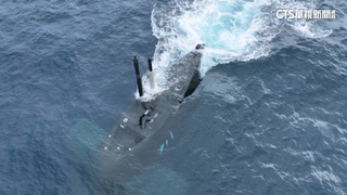 海鯤潛艦成功潛航50米　吳釗燮曝空拍視角