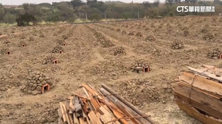 苗栗通霄控窯活動「排350座石堆」　民眾笑稱：像墳墓