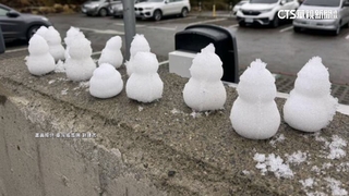 大陸冷氣團發威！合歡山突下冰霰　追雪民眾超驚喜