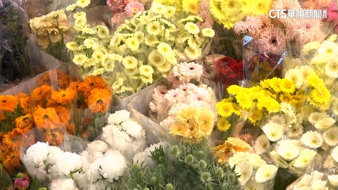 【台語新聞】備戰春節買花潮 台北花市2/12至除夕不打烊