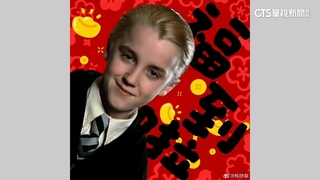 馬年「跩哥馬份」受封春節吉祥物　中國網友轉發求好運