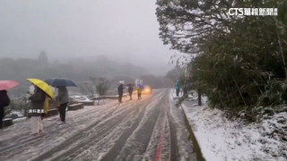 陽明山入夜後有望降雪　3階段交管有雪鏈才上路