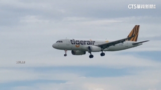 台灣虎航力挺中華隊！　明早10點限量開賣WBC應援套票