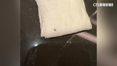 客赴五星飯店鐵板燒「遇小蟑螂」 業者歉:加強清消