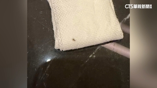 客赴五星飯店鐵板燒「遇小蟑螂」　業者歉：加強清消