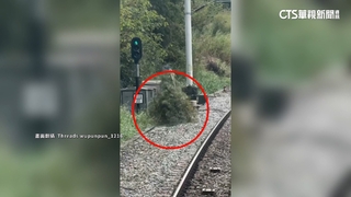 驚見「移動草叢」列車急減速　老翁背竹子走軌道旁挨罰