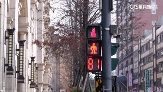 「跳跳馬」躍上紅綠燈！　竹市推春節限定款　民眾讚應景