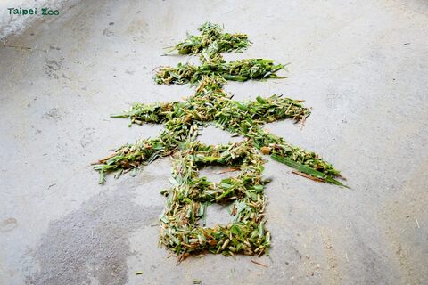 北市動物園幫動物們加菜過好年 籲遊客勿擅自幫動物「加菜」