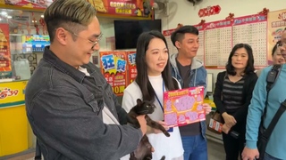現實版貓的報恩！　台中男子救浪貓刮中「100萬」大獎