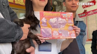 貓的報恩！兄弟檔收養黑貓　順路買刮刮樂竟中百萬