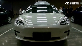 美國車零關稅！　台灣特斯拉：無降價計畫