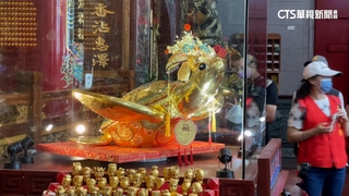 黃金龜市值逾8千萬元！　廟方：防彈玻璃.派人看守
