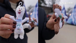 米蘭冬奧吉祥是牠！　1棕1白「白鼬」姊弟