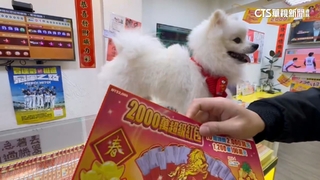 靈犬發威！前刑警帶愛犬「刮刮樂路跑」　爽中百萬