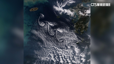 濟州島外海現「神秘666」卡門渦列! 鄭明典讚可愛