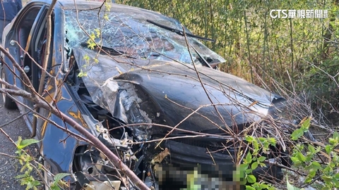 嬤載3孫出遊賞花自撞　困前座骨折消防急拆門救人