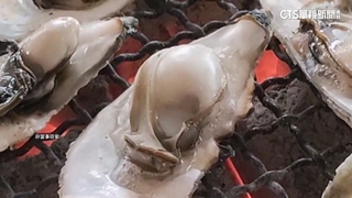 逾10人吃烤蚵吐瀉！　店家允負責　衛生局：已稽查