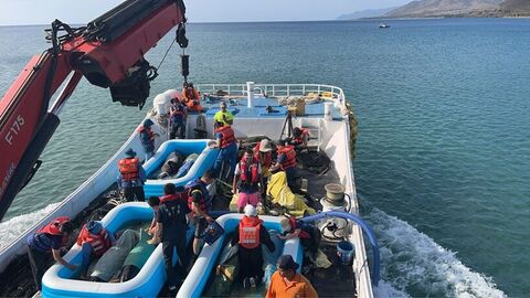 屏東海口沙灘11隻小虎鯨集體擱淺！4隻死亡　7隻救援成功順利野放