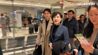 台北市長綠營誰出戰？　鄭麗君.王世堅黨內呼聲高