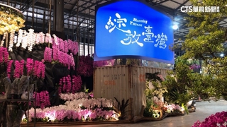 梵谷「星夜」在蘭花上　台灣國際蘭展名畫蘭花驚艷全球