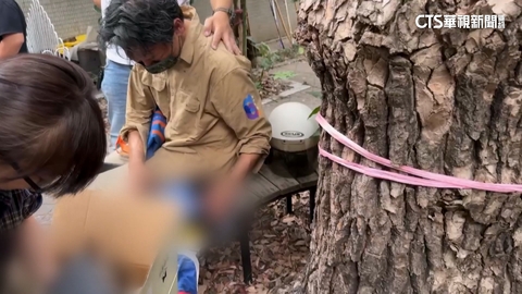 高雄豐裕里長家遭祝融　兩隻愛貓不幸喪命...里民心疼