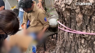 高雄豐裕里長家遭祝融　兩隻愛貓不幸喪命...里民心疼