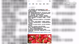 大湖爆「草莓詐騙」！　謊稱高價收購失聯　農民損失逾百萬