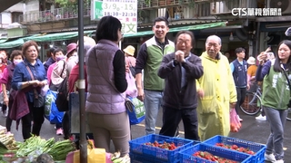 綠初選倒數！　大安文山6搶4　「最強母雞」王世堅幫拉票