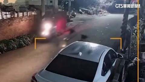 危險！　流浪狗群聚凶狠追車狂吠　「5騎士接連慘摔」