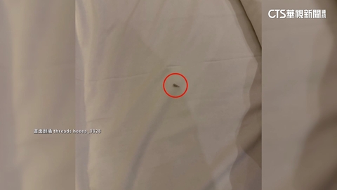 住宿吃灰塵？！知名飯店遭控有蟑螂　業者：加強清潔