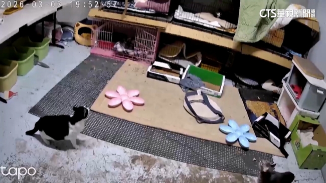 台南昨5.0地震「是去年0121餘震」　氣象署：持續做好防震準備