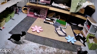 台南昨5.0地震「是去年0121餘震」　氣象署：持續做好防震準備