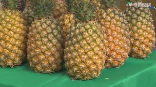 台灣鳳梨將首度外銷美國！　農業部曝好消息：待美方正式公告