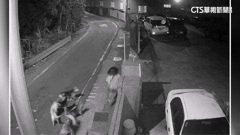 彰化和美浪犬追咬事件頻傳　動防所抓捕.開罰飼主