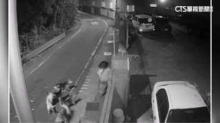 彰化和美浪犬追咬事件頻傳　動防所抓捕.開罰飼主