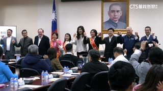 藍徵召陳玉珍.張嘉郡.游淑貞！　鄭麗文：全面迎戰