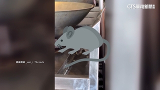 嚇！　逢甲商圈排骨店「老鼠探頭探腦」　客直呼食慾全無